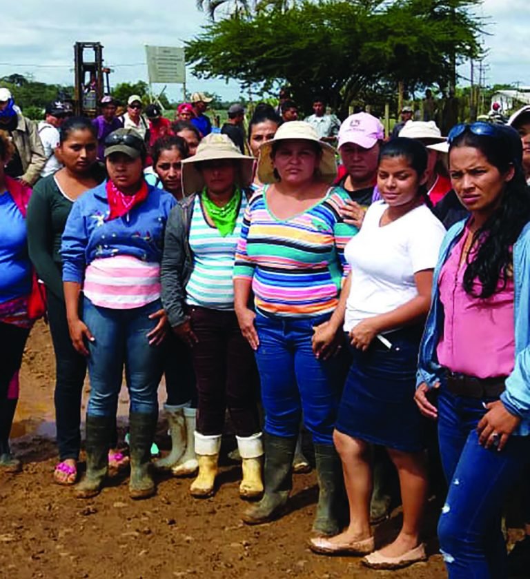 Las mujeres en las luchas obreras de las piñeras