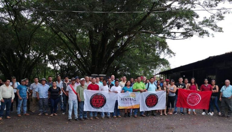 Nuestra solidaridad con los trabajadores despedidos de DOLE