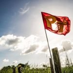 1410755_432467820208479_466412294_o