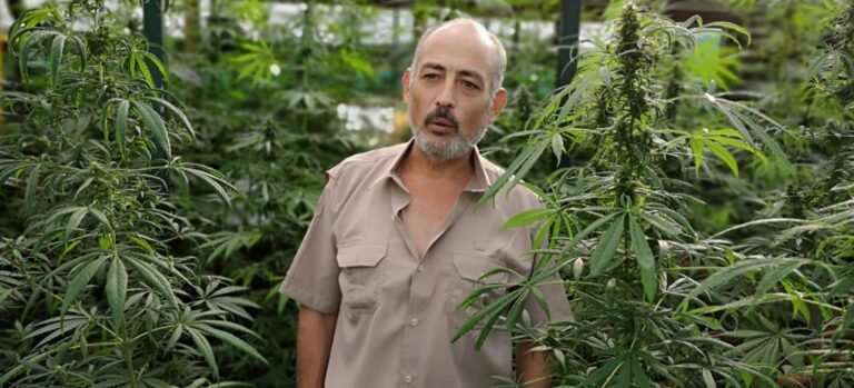 Libertad para Mario cerdas: por la legalización de la marihuana